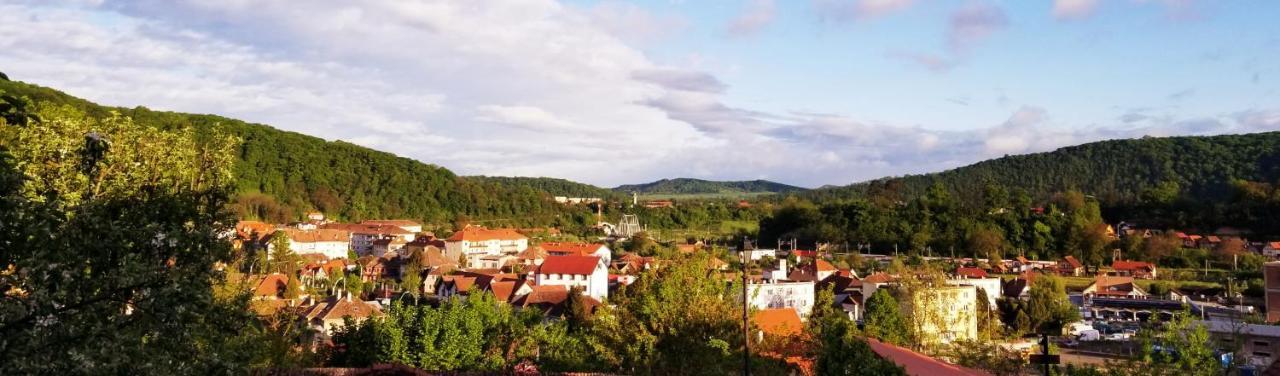 Pensiunea Lelila Inn Sighisoara Luaran gambar