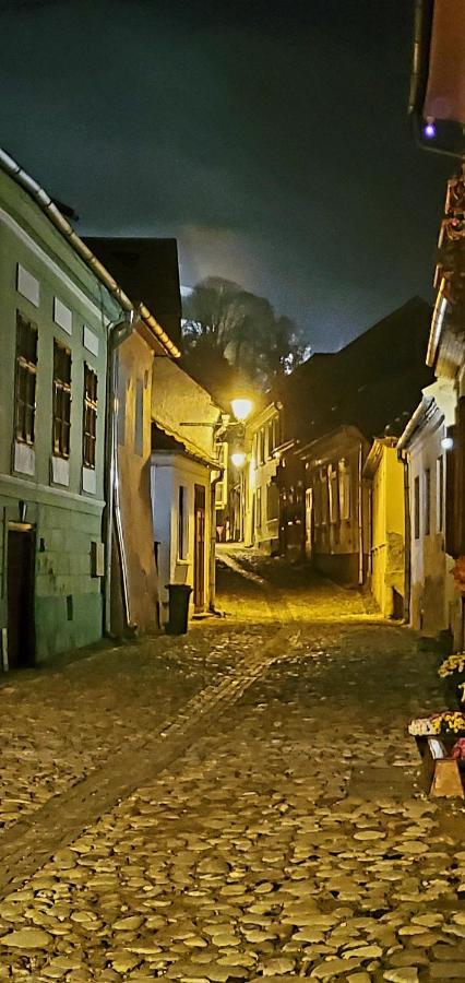 Pensiunea Lelila Inn Sighisoara Luaran gambar