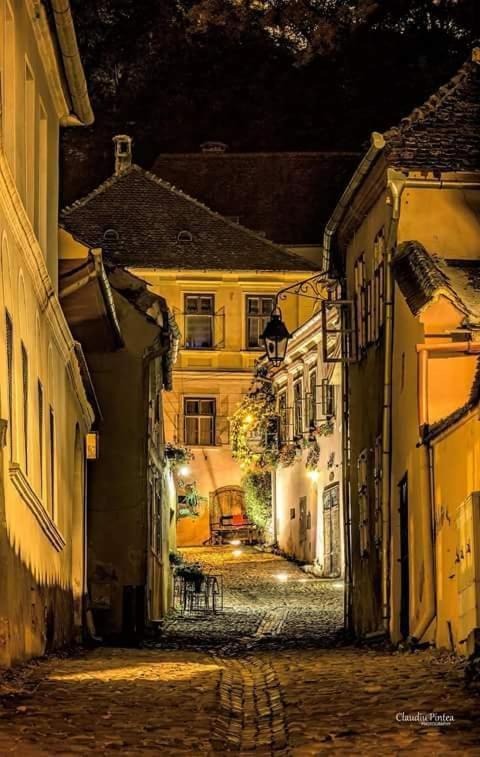 Pensiunea Lelila Inn Sighisoara Luaran gambar