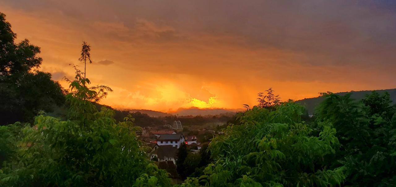 Pensiunea Lelila Inn Sighisoara Luaran gambar