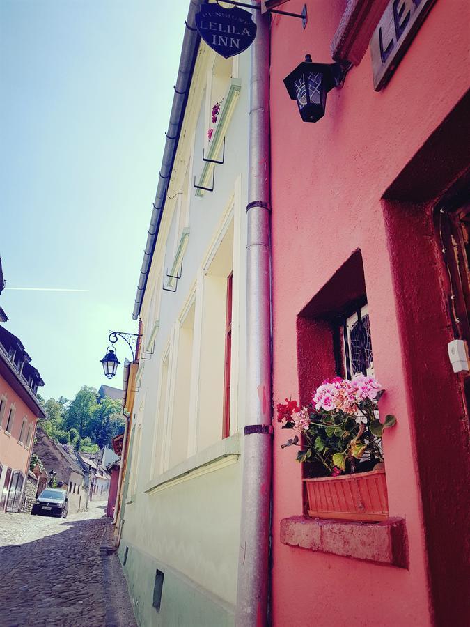 Pensiunea Lelila Inn Sighisoara Luaran gambar